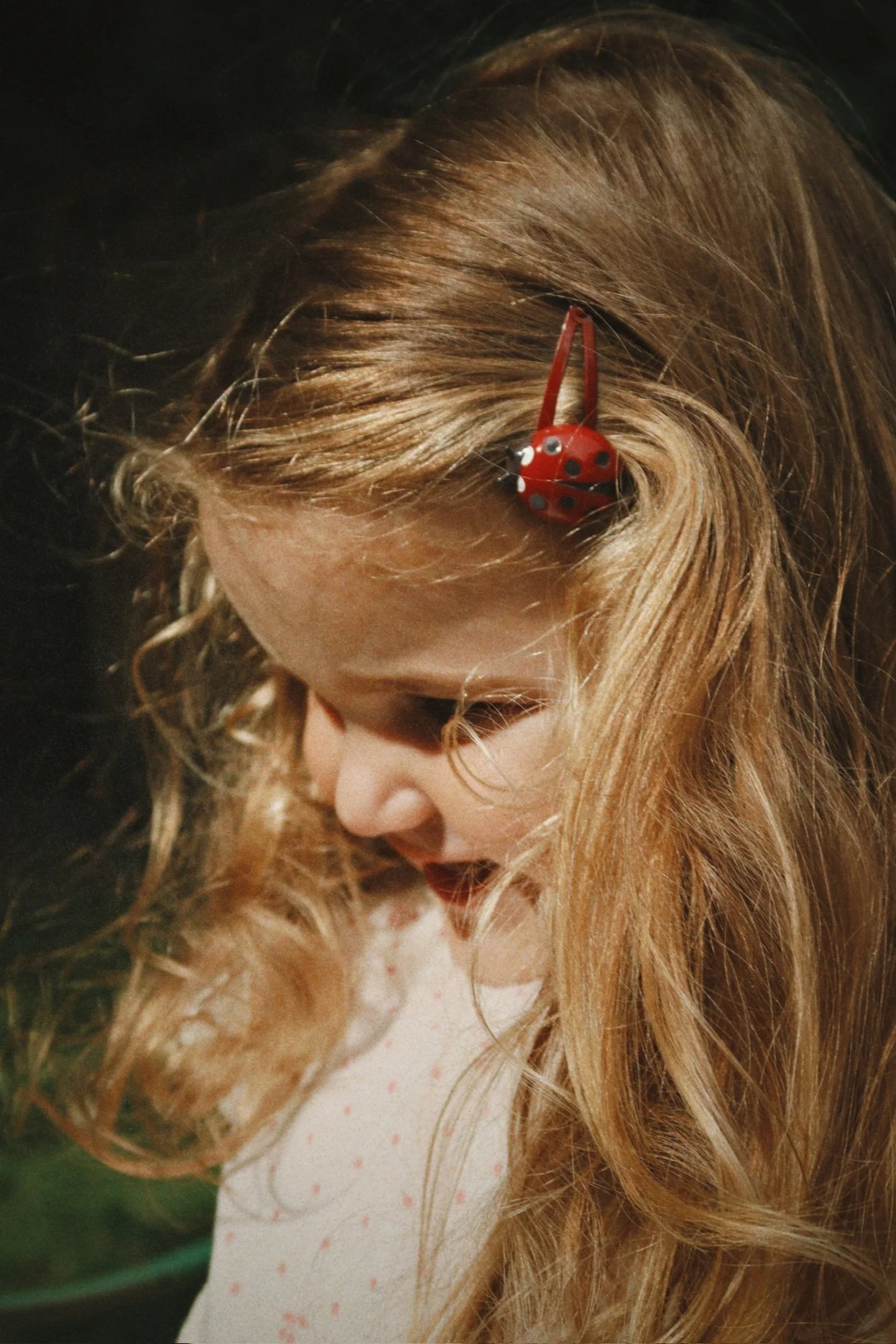 4 pack hair clip | ladybug