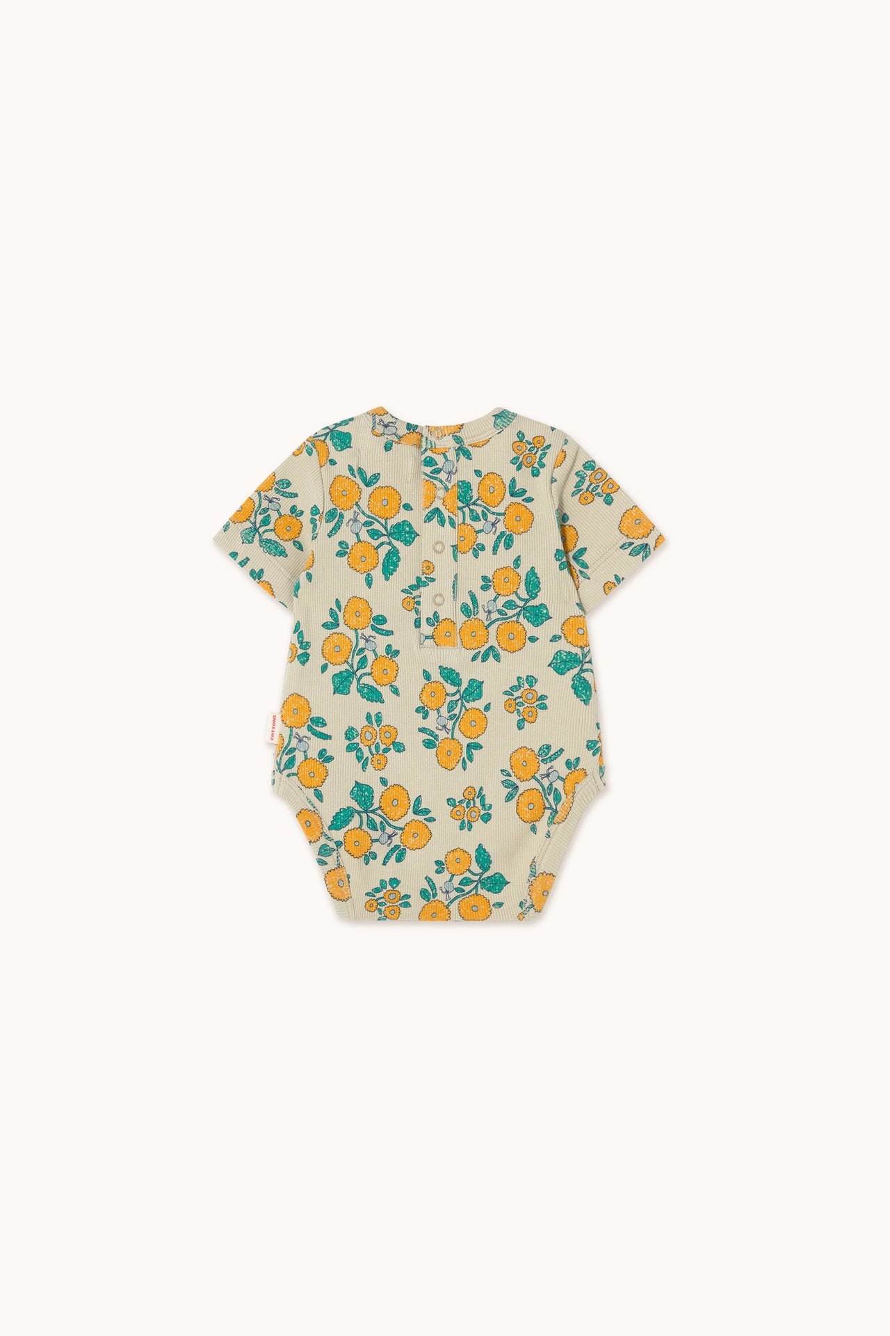 flowers rib body | dark vanilla