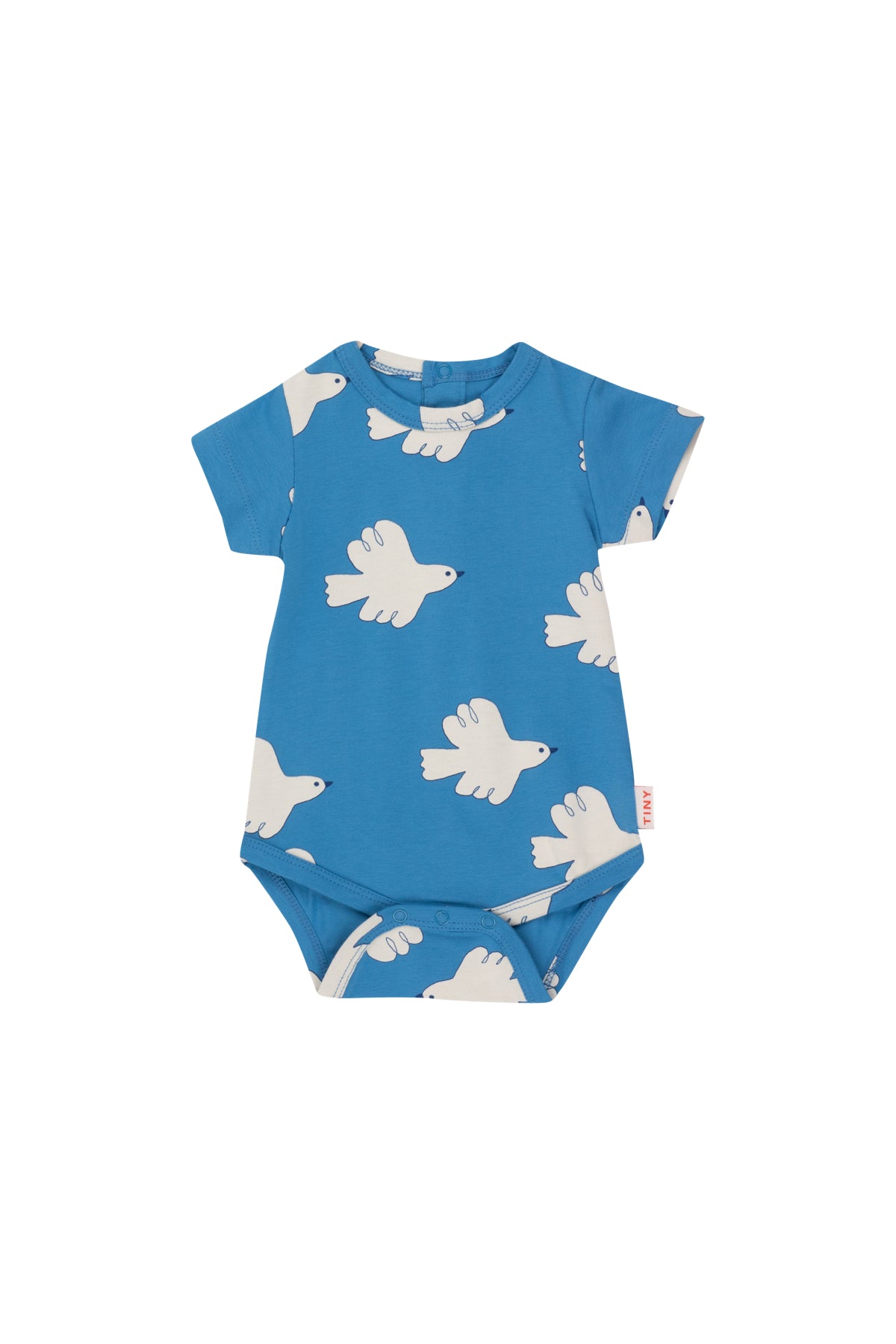 doves body | blue