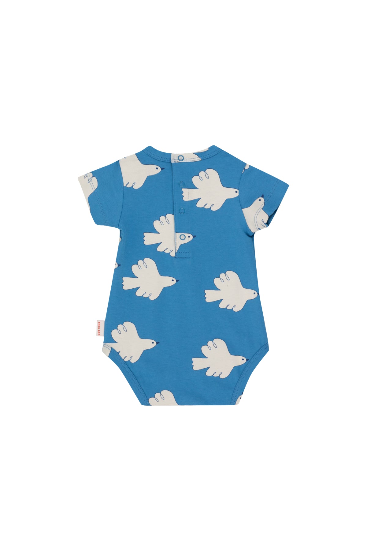doves body | blue