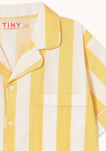 yellow stripes set | dusty yellow