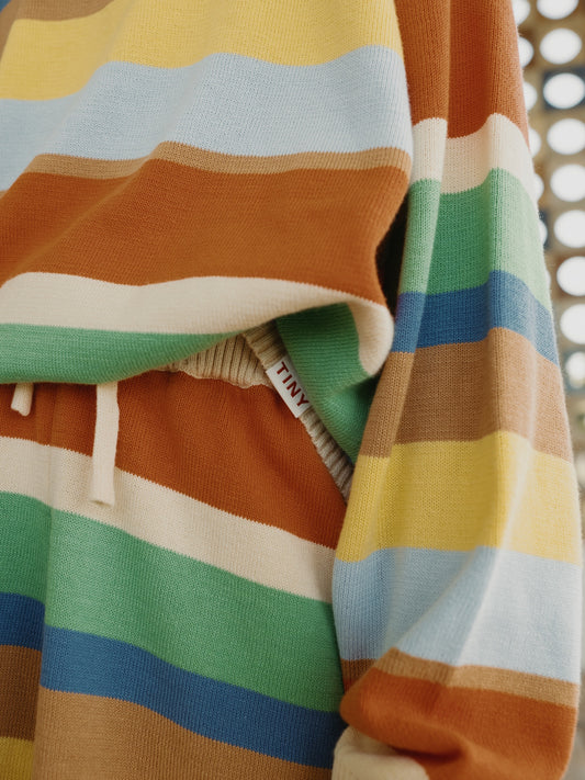retro stripes shorts
