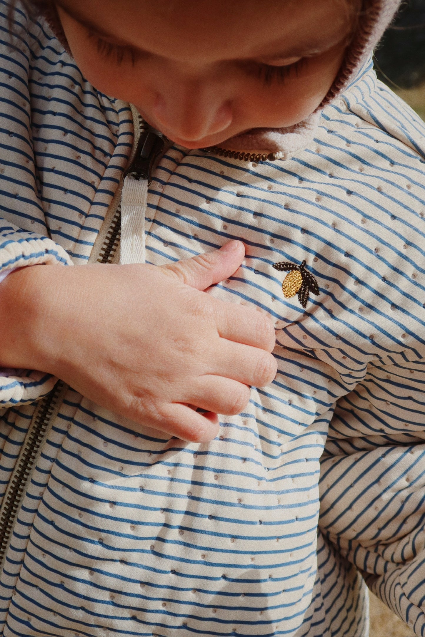 thermo jacket | stripe bluie