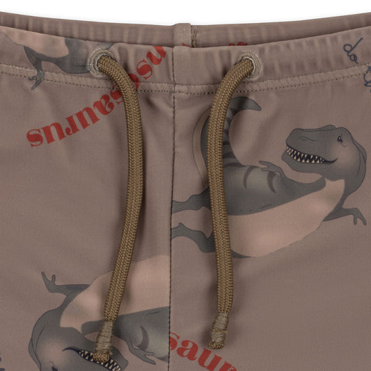 aster swim pants | dansosaurus