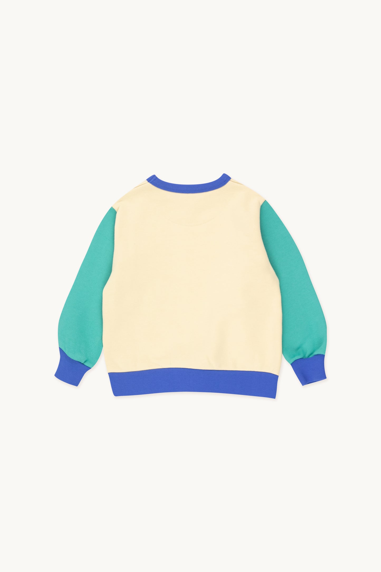 colorblock sweatshirt