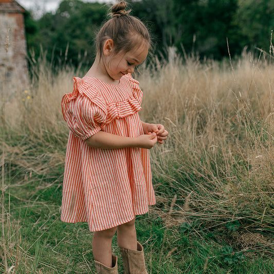 birdie dress | strawberry + oat stripe linen