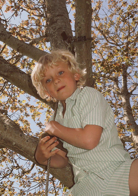 james short sleeve shirt | green + cloud