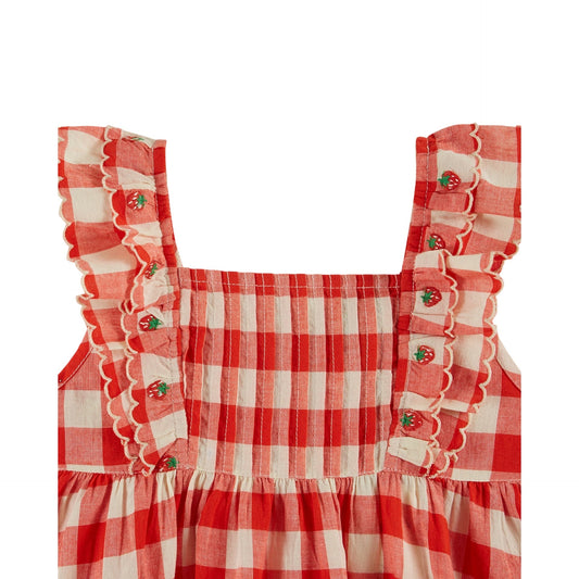 checked embroidered dress | vichy rogue