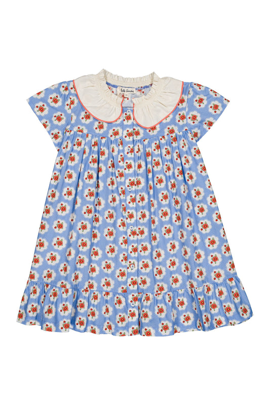 charlize dress  | provence