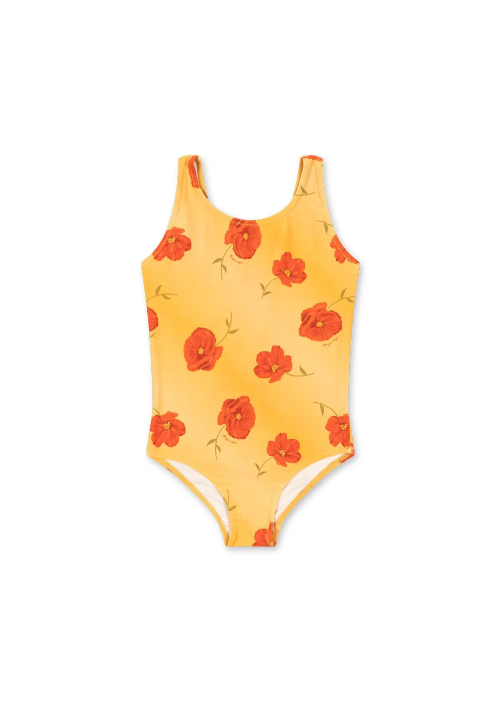 abria swimsuit