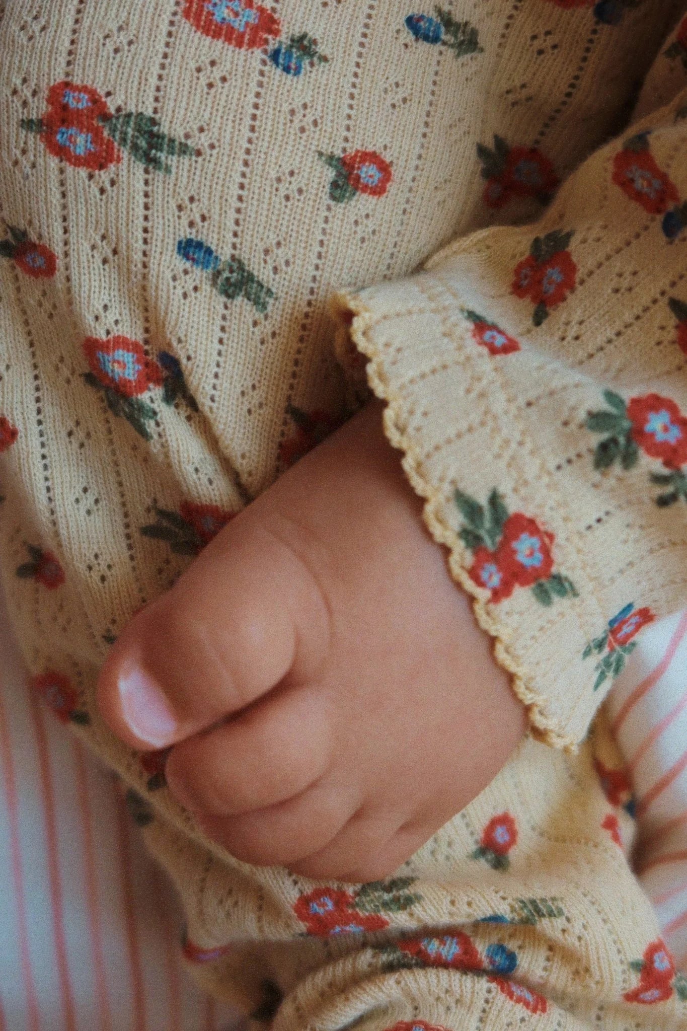 minnie pant | carmona