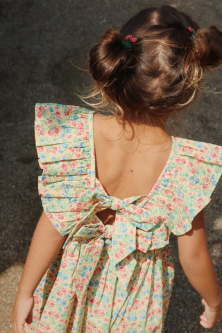 Cianna dress | fandango fleur