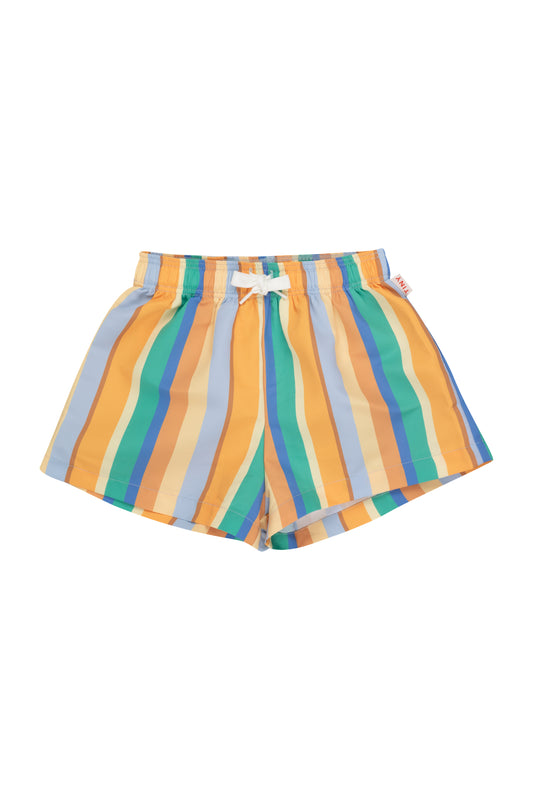 multicolor stripes swim trunks