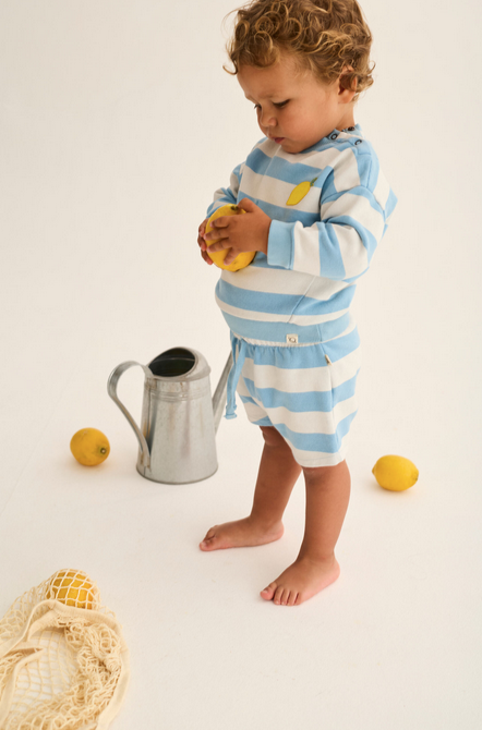 kelly sweatshirt | blue striped