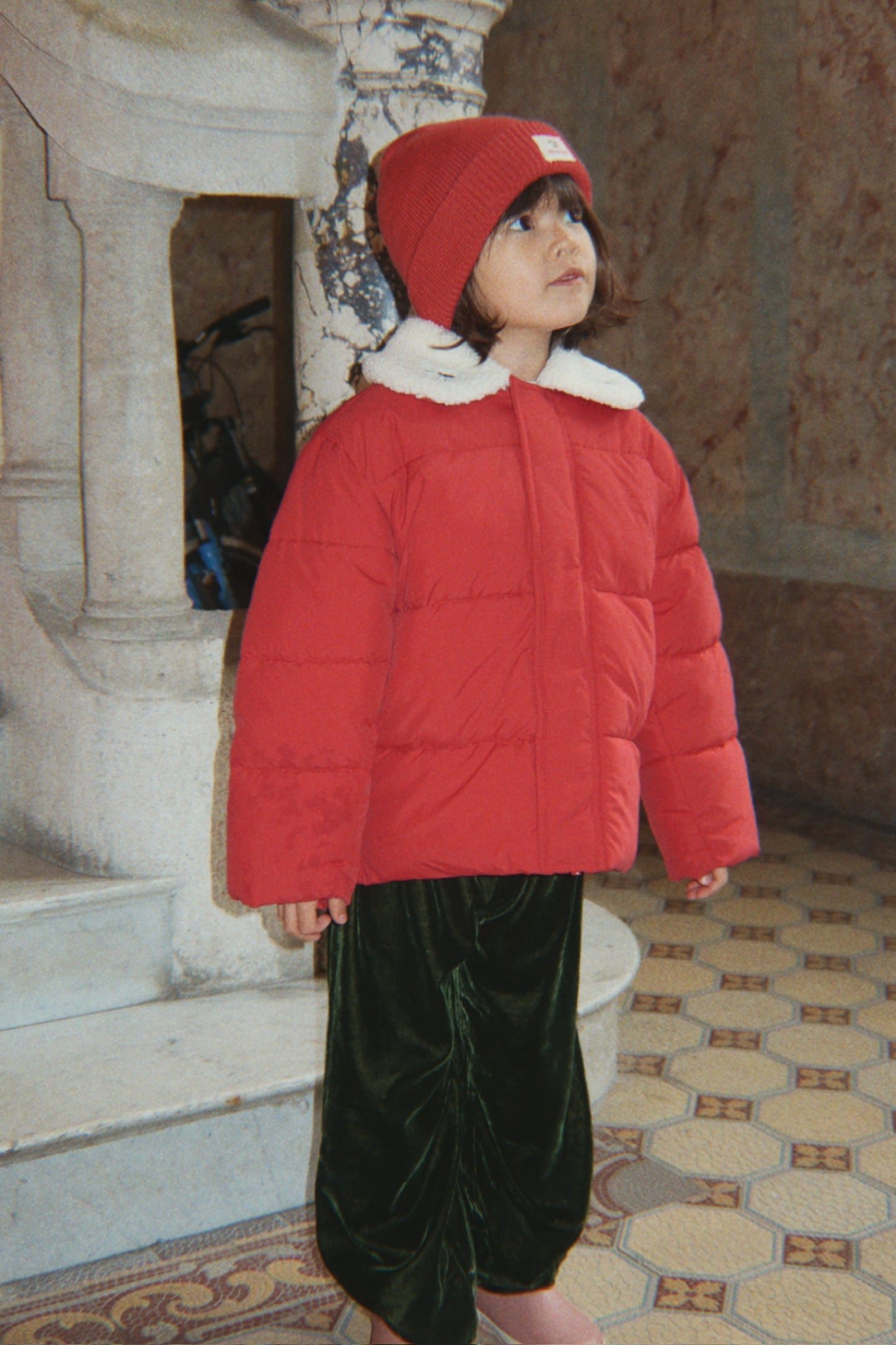 alpi collar jacket | cardinal