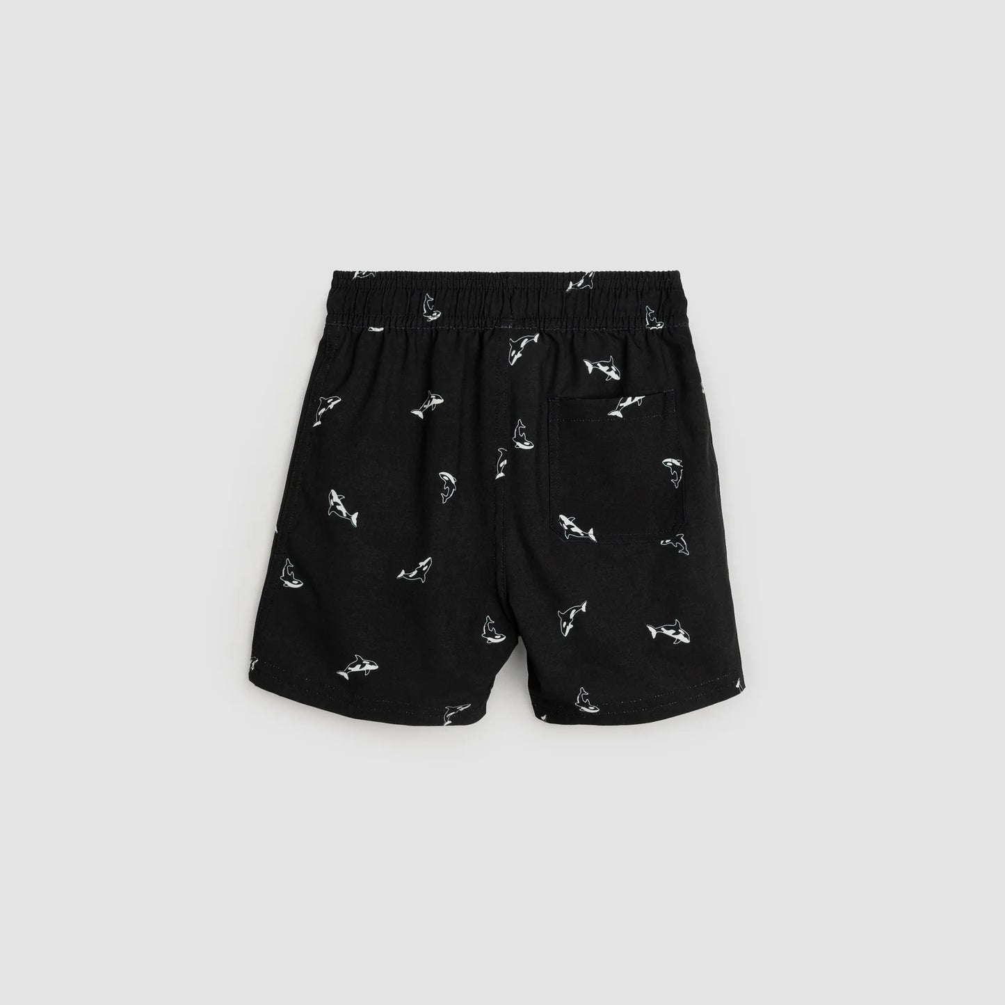 orca swim trunk